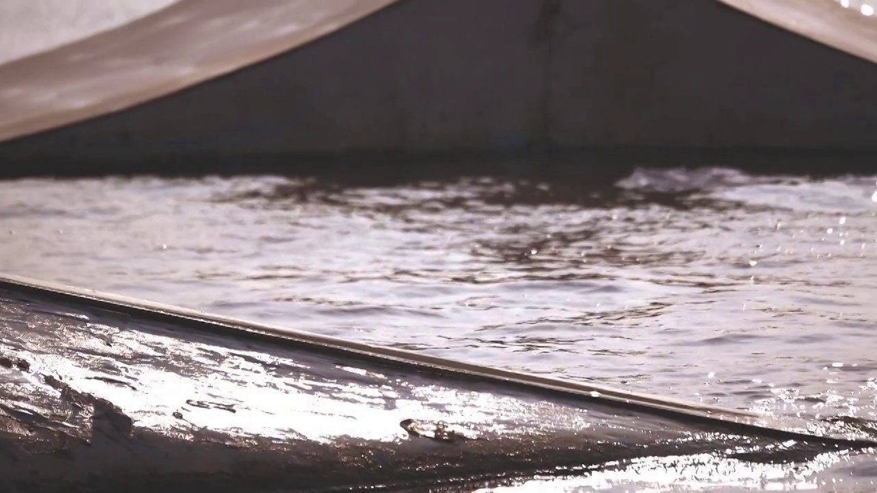 Wake A Lot – Teaser 2014