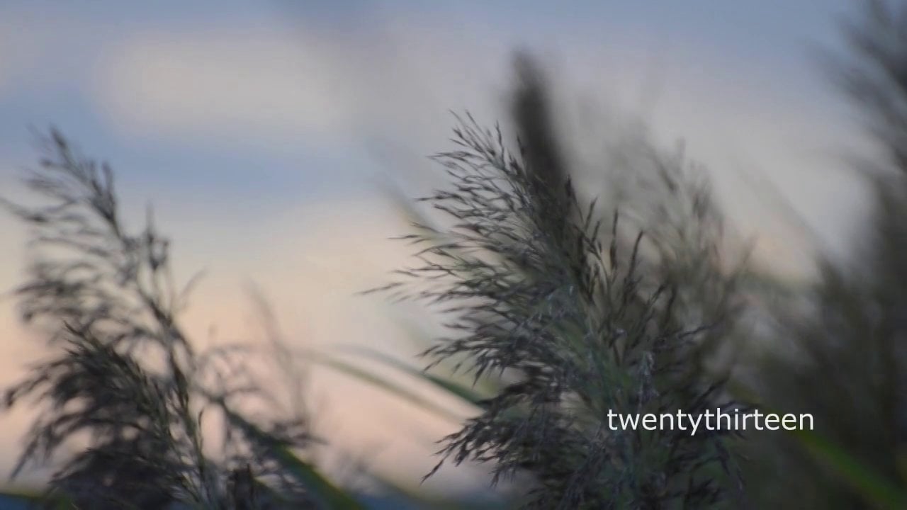 twentythirteen