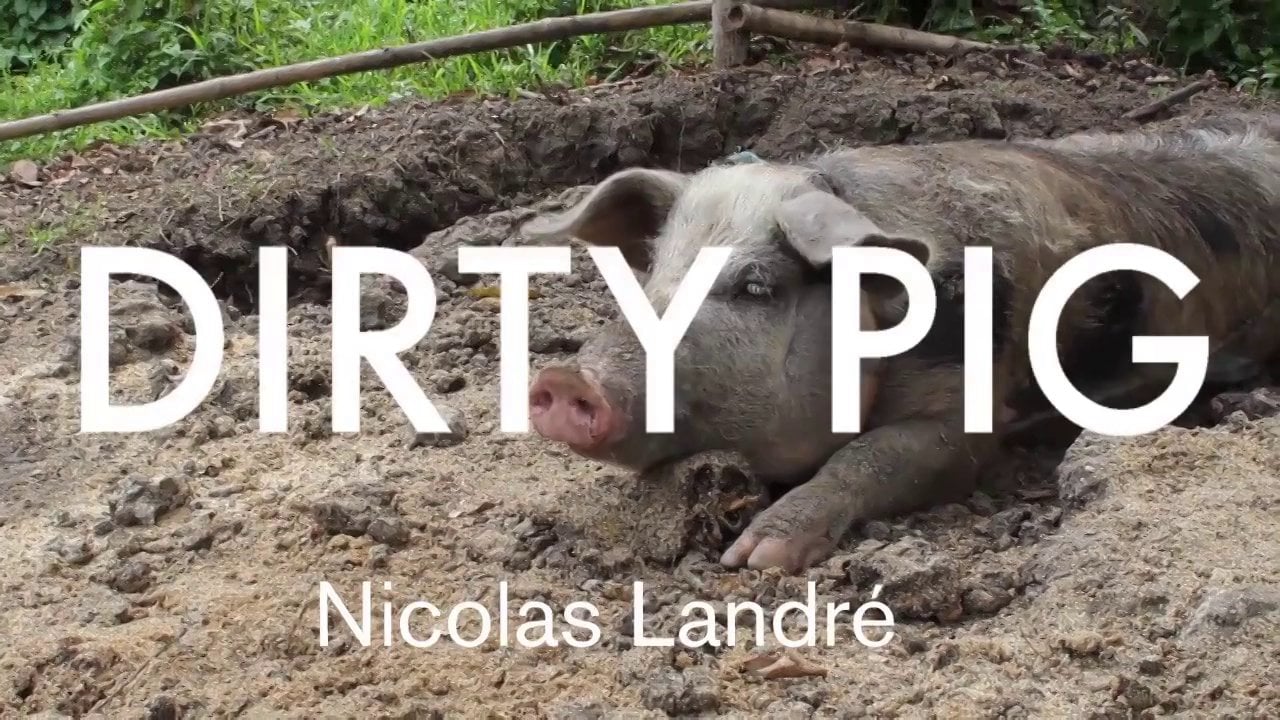 Dirty Pig / Niko Landré at CWC 2014