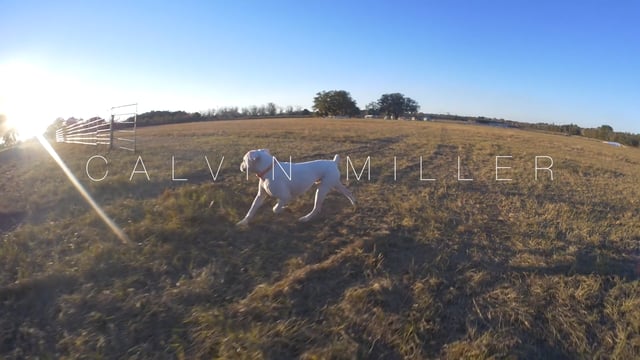 Calvin Miller Minute at VWC