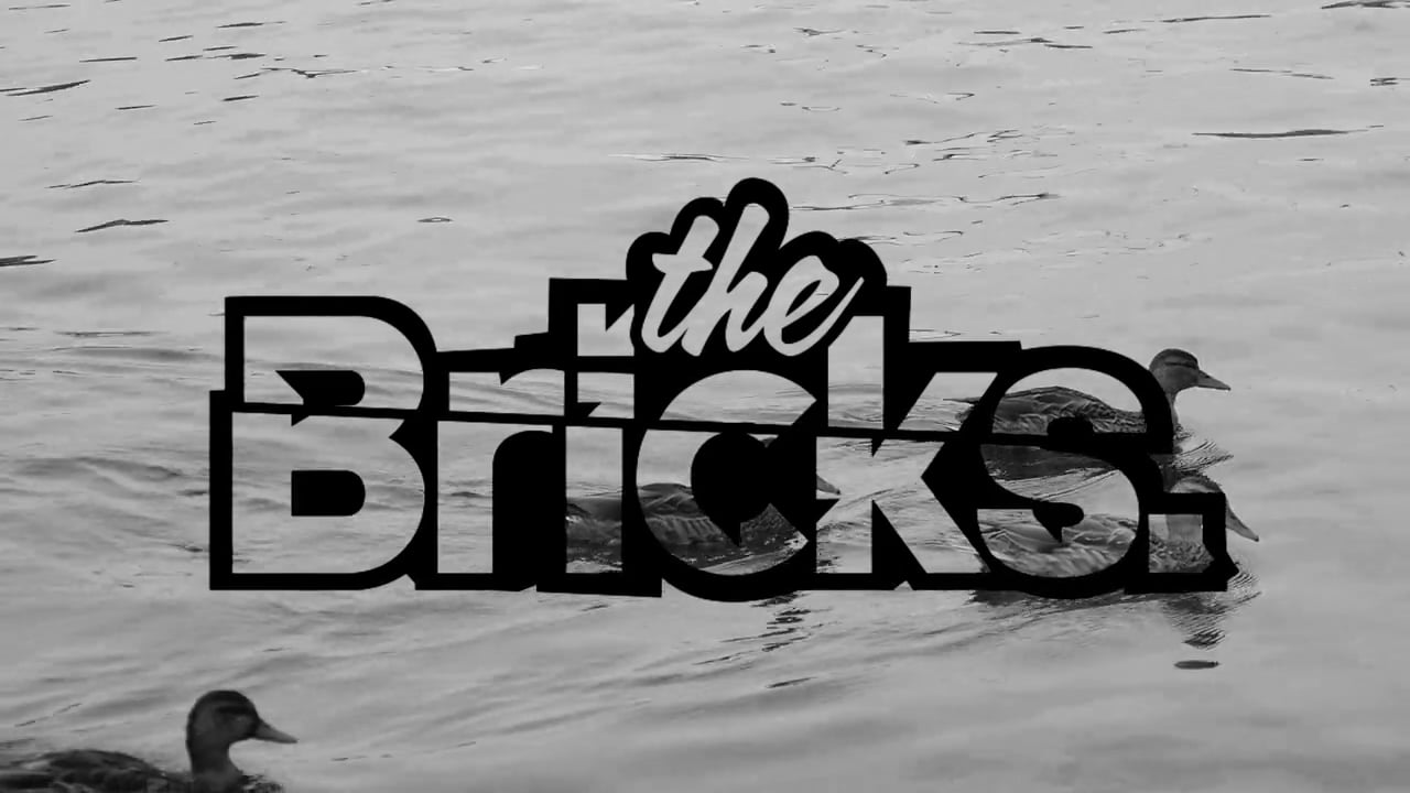 Space Mob: The Bricks – Tobi, Pancho, Wes, and Liam